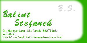 balint stefanek business card